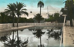 colomb bechar  (40)